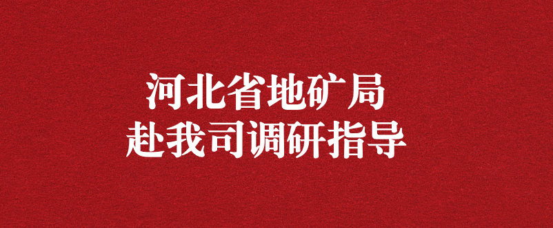 河北省地礦局黨組書記盧瑞卿赴天晟源環(huán)保調(diào)研指導