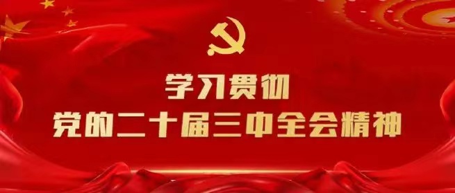 學習會議精神，貫徹落實工作 --川勘天晟源公司黨支部召開主題黨員大會